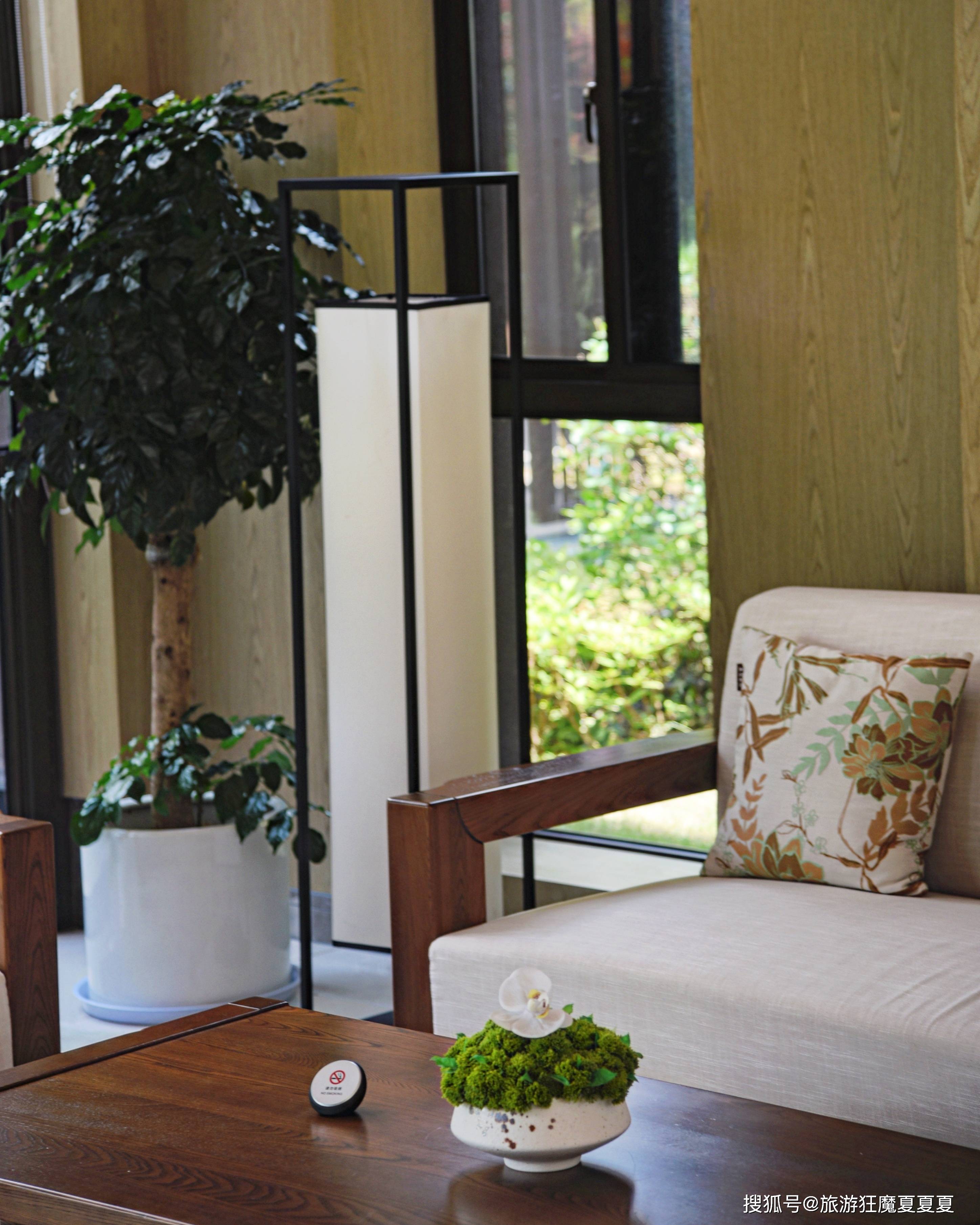 原创             湖州莫干山超棒的亲子酒店，坐拥近2000平阳光草坪，环境太赞