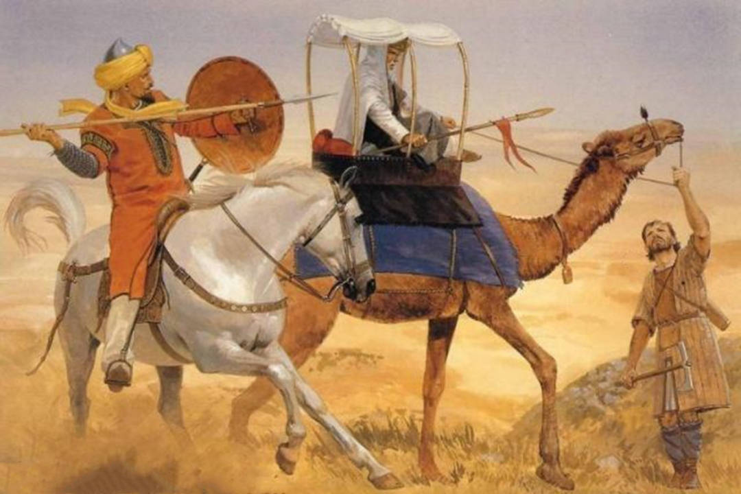 原创为了消灭骆驼澳洲安插间谍开飞机狩猎依然跟不上繁殖速度