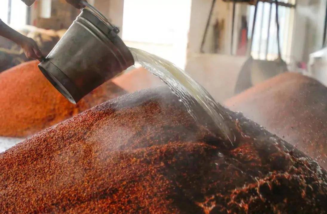 白酒不能随便喝一不小心喝到劣质香精酒买酒那些事一定得知道