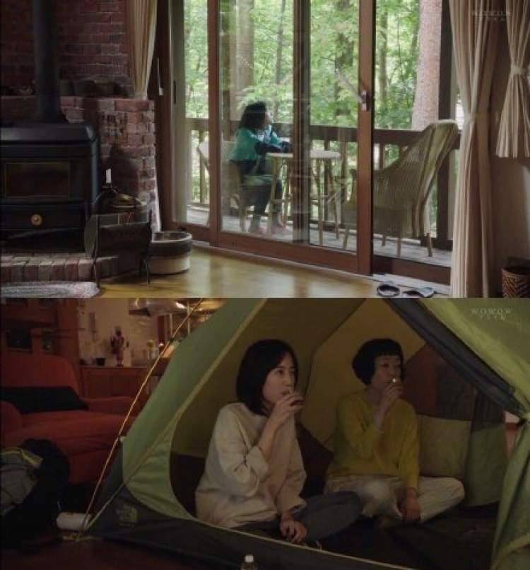 原创开年治愈第一弹小林聪美新作森系日剧森林民宿混搭童话上线