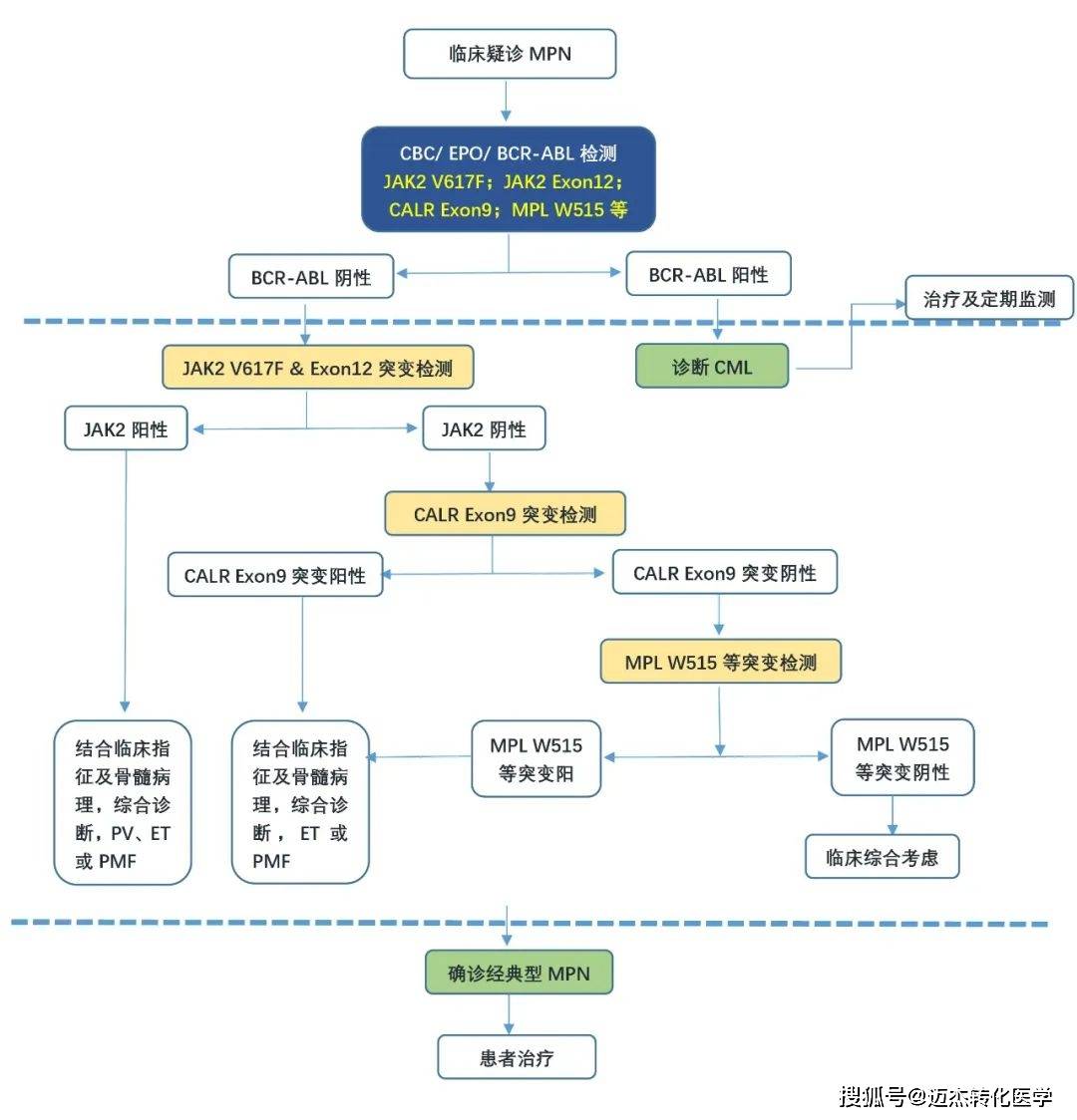 JAK2、MPL、CALR等驱动基因在MPN诊疗中检测意义