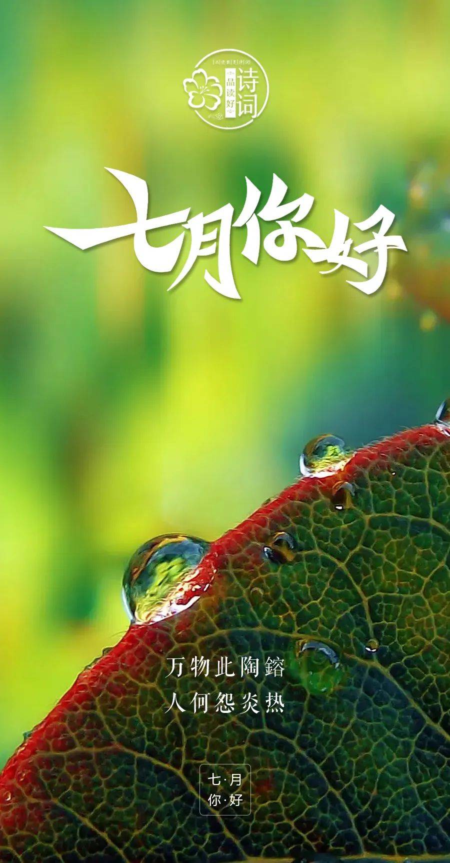 900_1725竖版 竖屏gif 动态图 动图