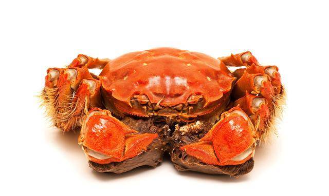 【哺乳期能吃螃蟹吗】哺乳期吃螃蟹可以吗