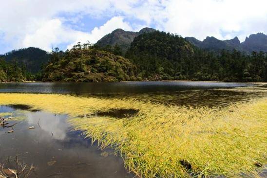 2400平方公里！四川一景区，千峰叠翠，胜境遍布，可欣赏4大景区