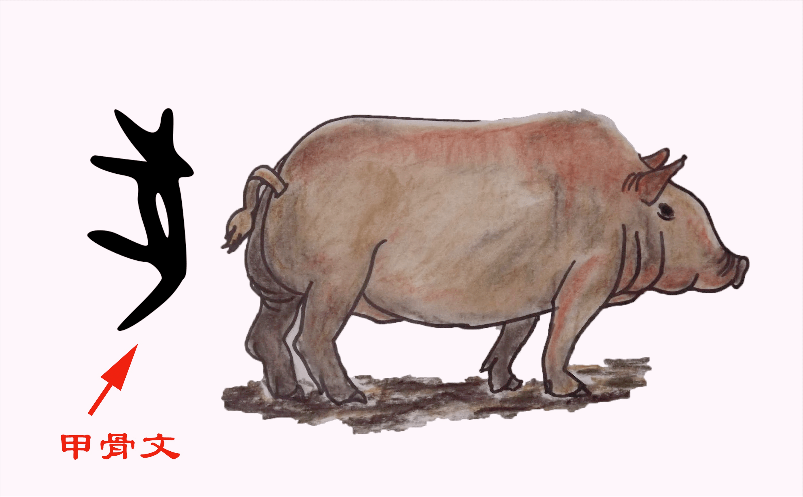 猪的汉字演变过程图图片