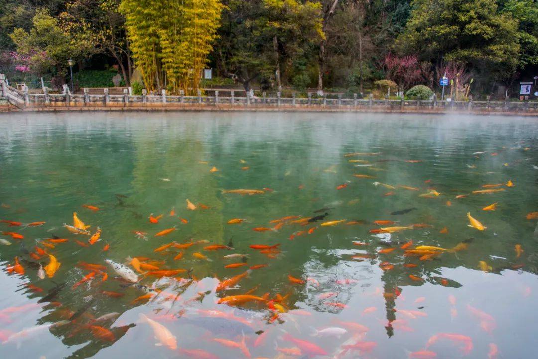 除了黑龙潭昆明竟然还有青蓝黄白4大龙潭