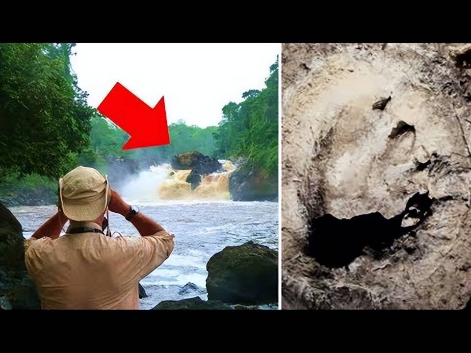 原创恐龙真还存在创纪录暴雨过后澳洲海滩冲上神秘生物