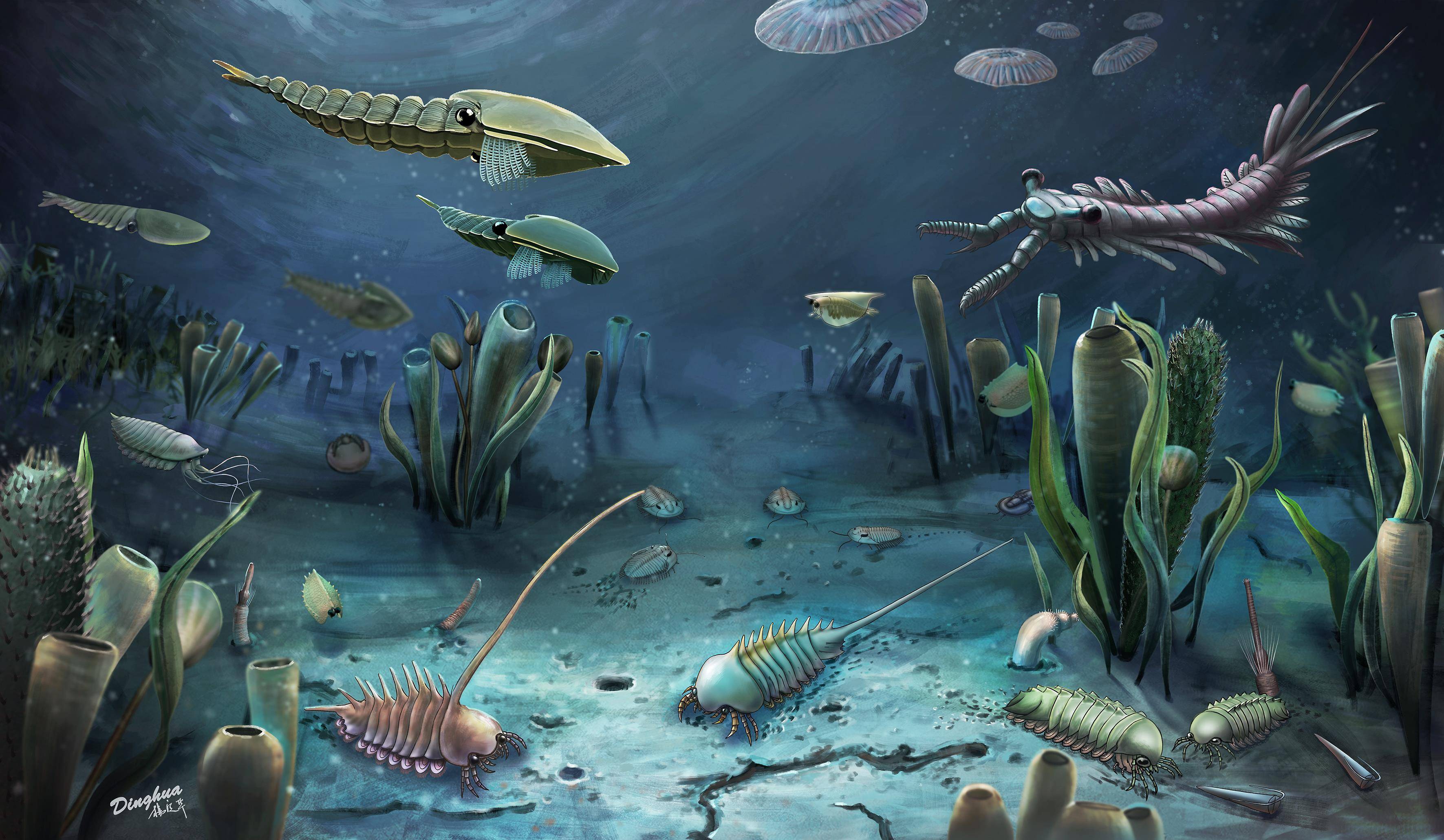 5亿年前临沂动物群 打开探索寒武纪演化动物群的新窗口