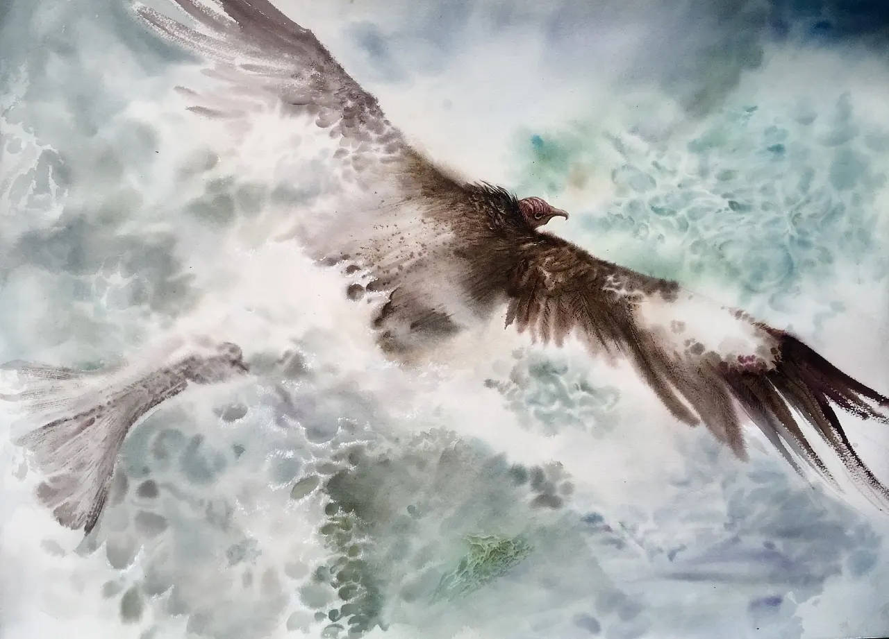 水击三千里抟扶摇而上者九万里去以六月息者也