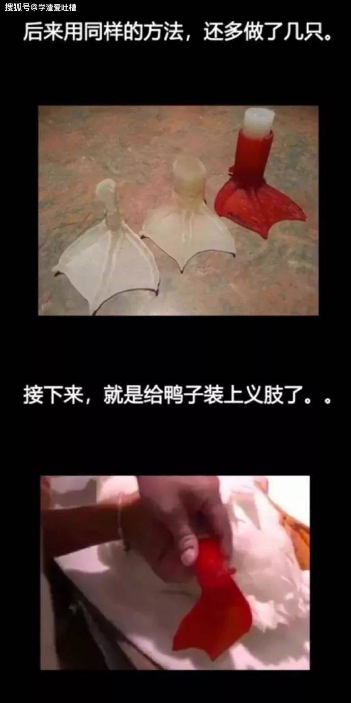 “以为你们在开车…对不起,原谅我第一眼想歪了!”