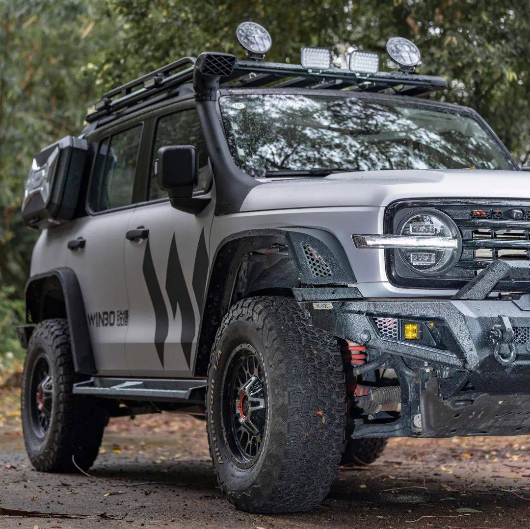 坦克300改装锐搏幻影刺客系列