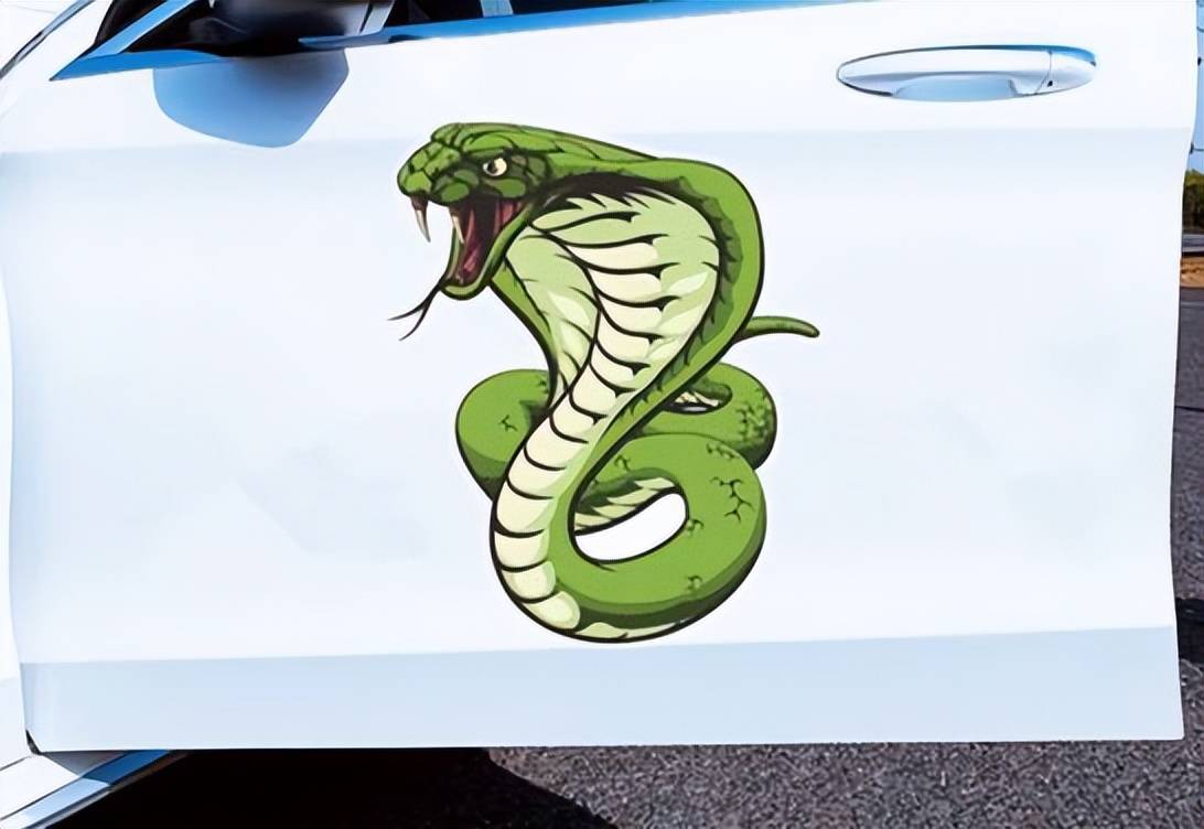 攀枝花巨型眼镜蛇钻入皮卡车,因"太胖"卡在引擎内,毒性可致死_进行