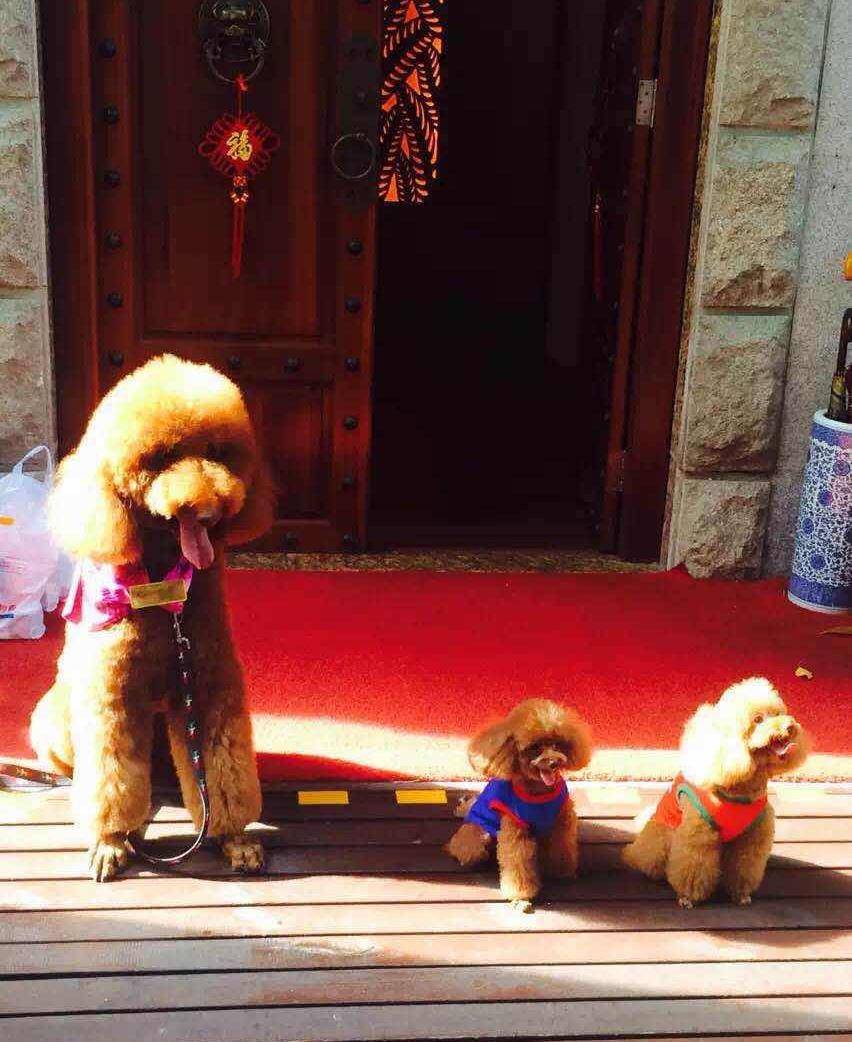 你知道巨贵小时候有多萌吗?_cm_样子_吐舌头