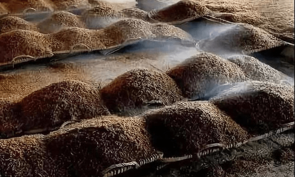 茅台号称五斤粮食一斤酒为何酒厂未见大量的酒糟