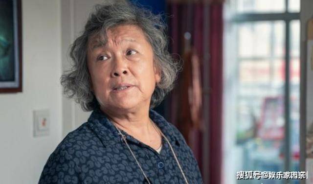 原创巡回检察组大结局九三零真凶曝光苗苗遭猥亵被沈广军误杀