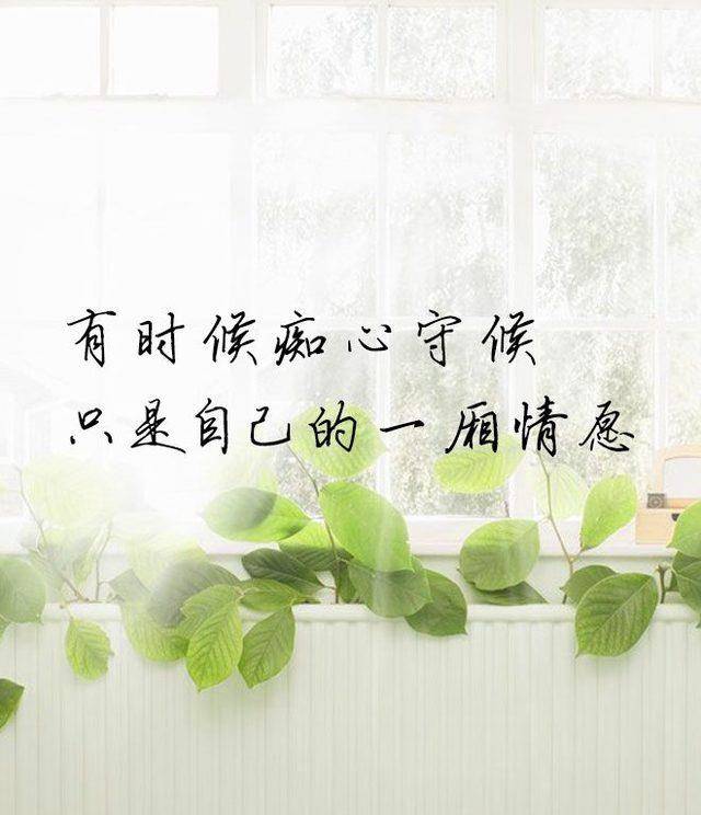 深爱过一个人,一生心疼_曾深_痴心_结局