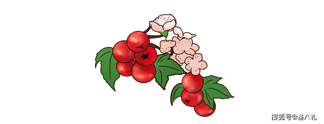 喝完这口冰镇的圣八礼山楂酒,夏天结束后再叫我_湿度_老祖宗_身体