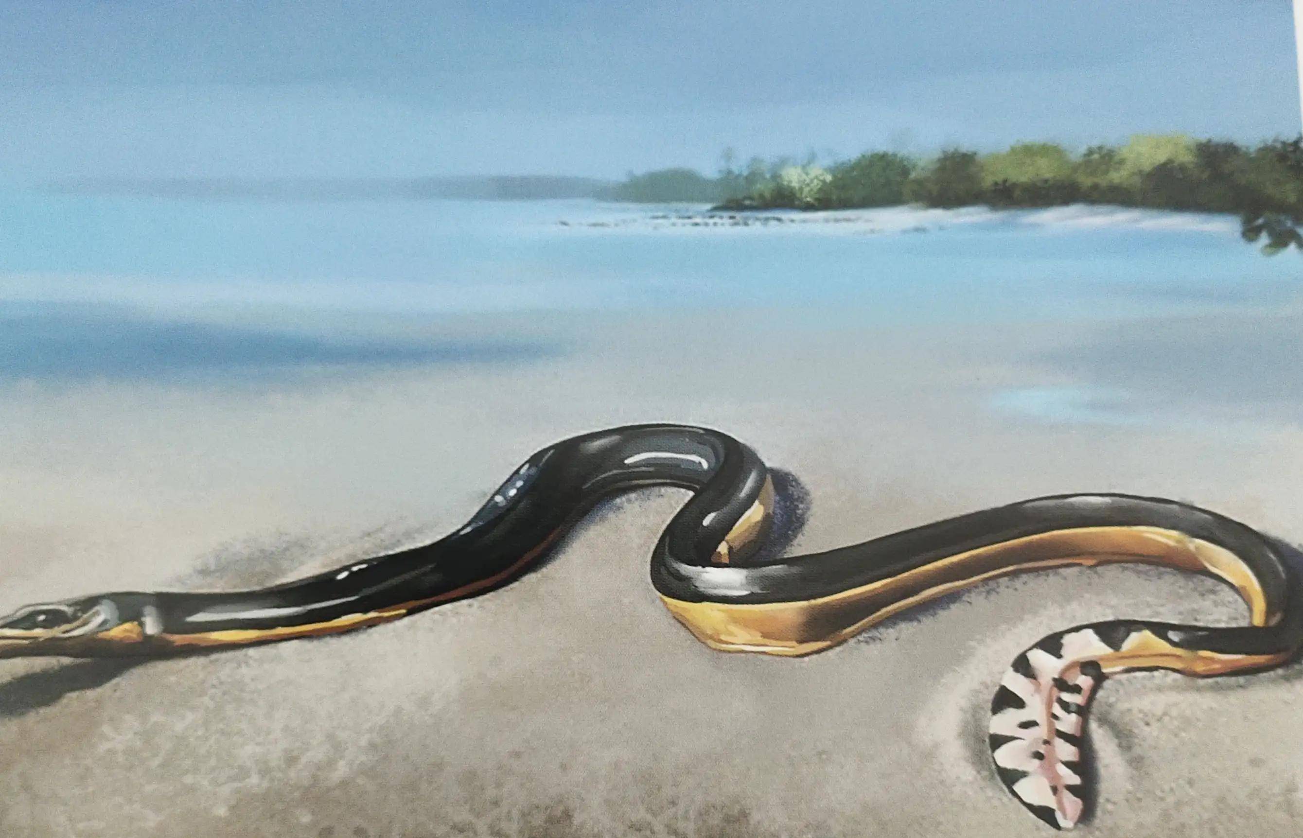 原创海蛇海洋凶狠的动物你知道它的天敌吗