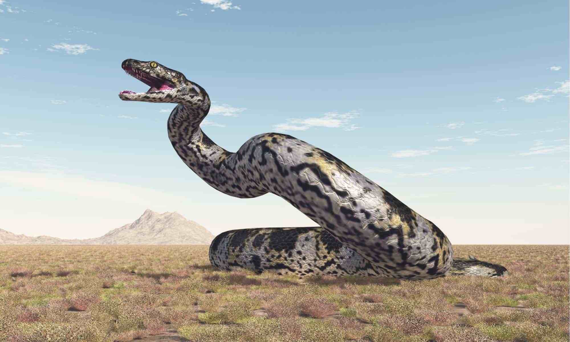 世界上最大的蛇5000米图片