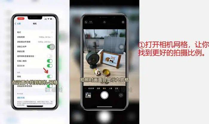 保姆级教程 最全苹果相机使用技巧 系列二 模式 画面 Iphone