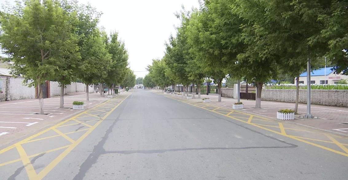 大安市67太山镇张家村:美景入画绘就乡村新貌插图1