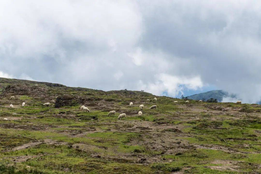 二日游线丨带你玩转禄劝转龙镇火把节赏遍好山还有美荷