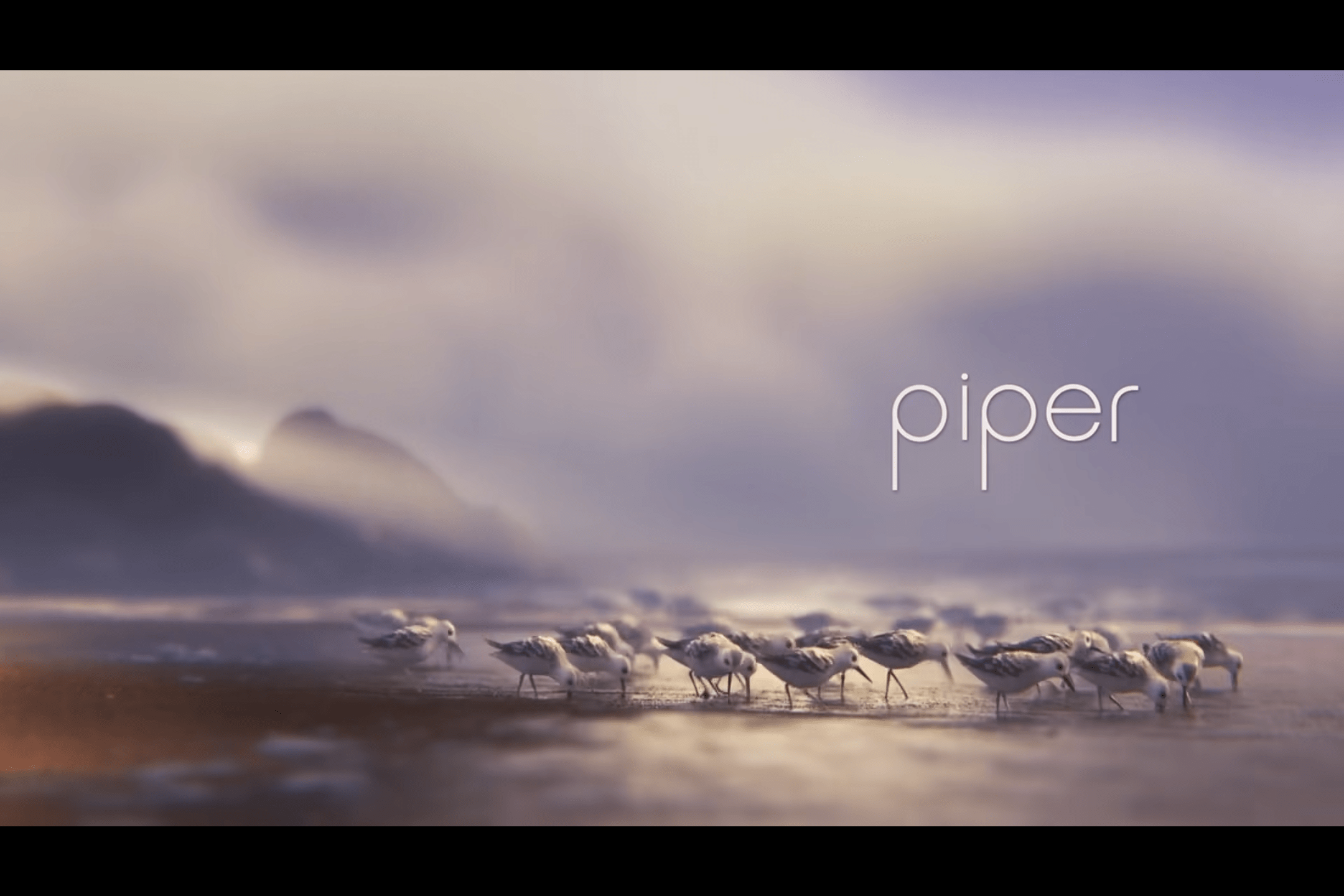 原创二零一六奥斯卡最佳动画短片鹬皮克斯工作室三年暖心之作