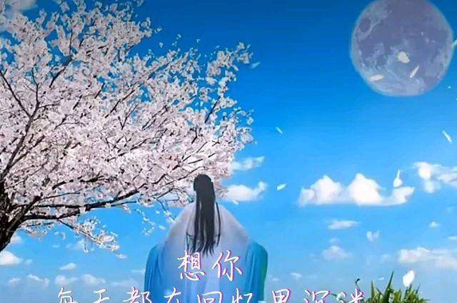 有一种想念,叫梦里梦外都是你,那是无人可以代替的存在,夜深了,被思念