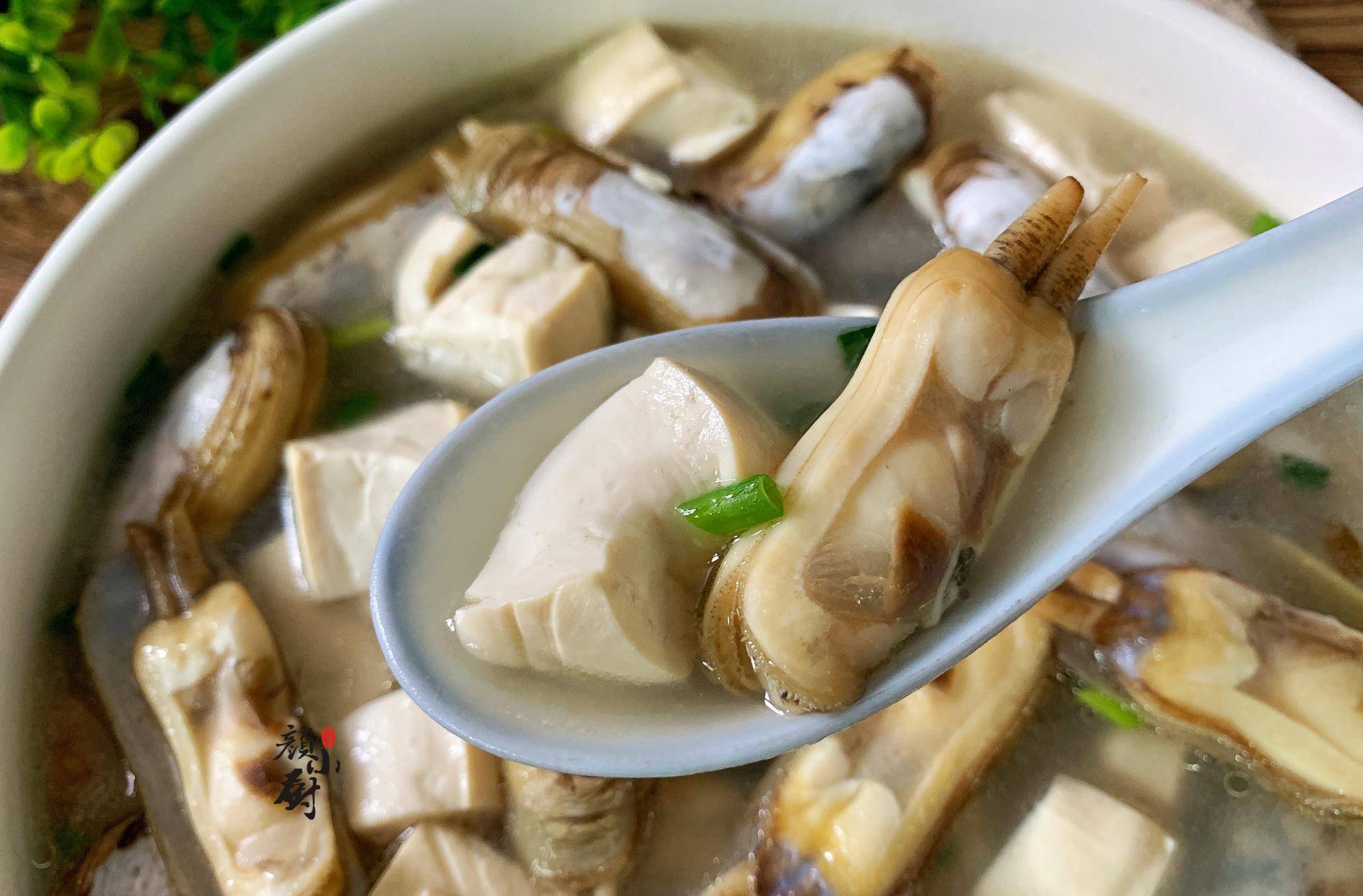 记得小时候妈妈经常会给我们煮一道蛏子豆腐汤,妈妈说蛏子有清热去火