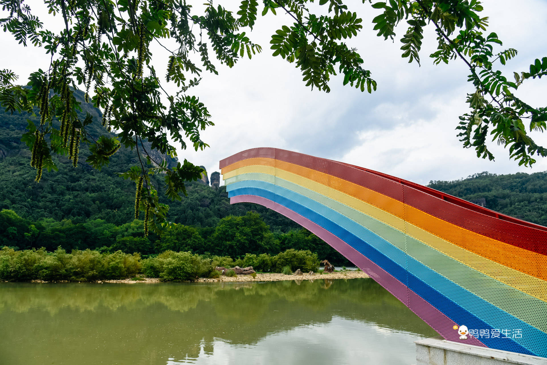 武夷山旅游最不累的方式崇阳溪边漫步六大网红观景台打卡