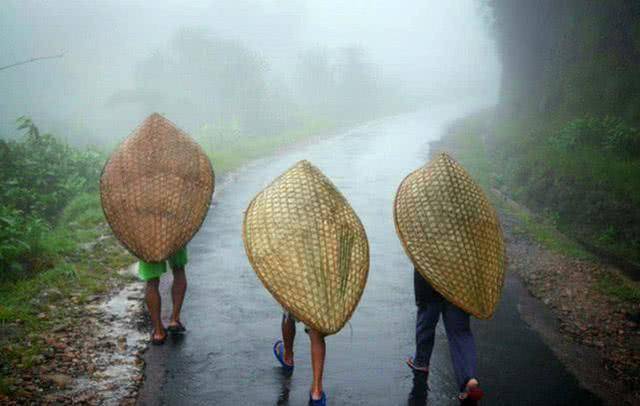 世界上的“湿极”，一年330天都在下雨，降雨量达12.24米