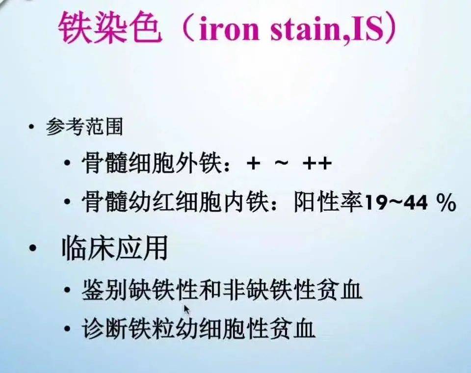 淺析骨髓細胞學檢查