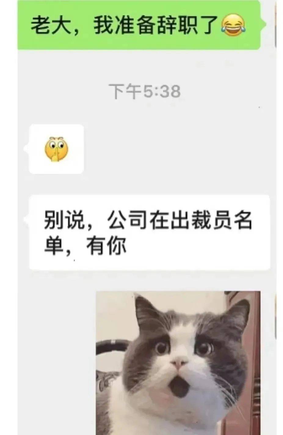 网恋对象竟是同事!这算不算欺诈?丨搞笑图