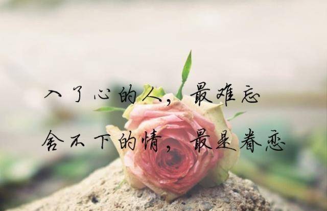 人生_一个人_那都