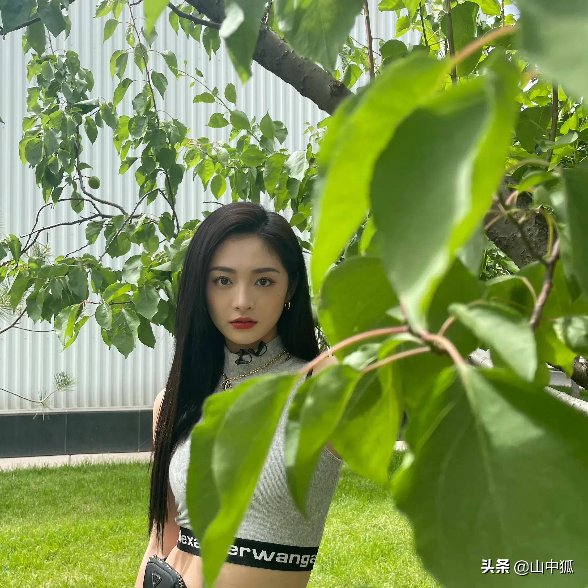 一身黑料将其绕,口碑实在不着调.