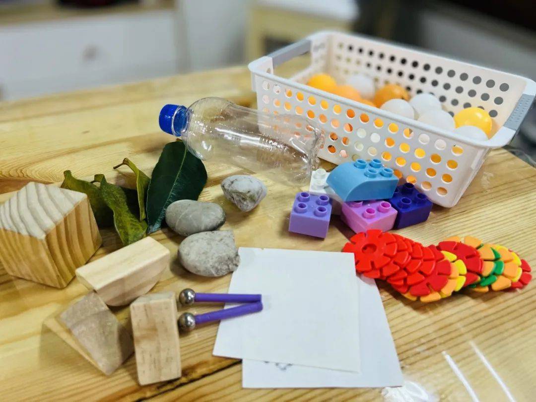 海盐诺亚舟庆安幼儿园:探秘沉与浮,暑假乐翻天_实验_老鼠_科学