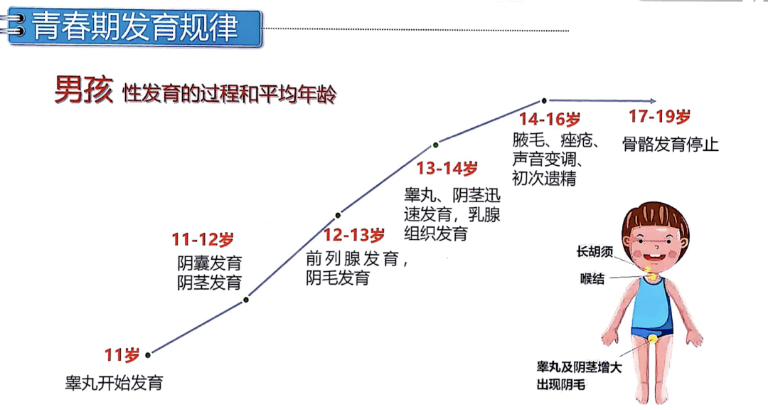 青春期發育什麼時候開始?如何不錯過孩子長個衝刺期!_女孩_男孩_身高