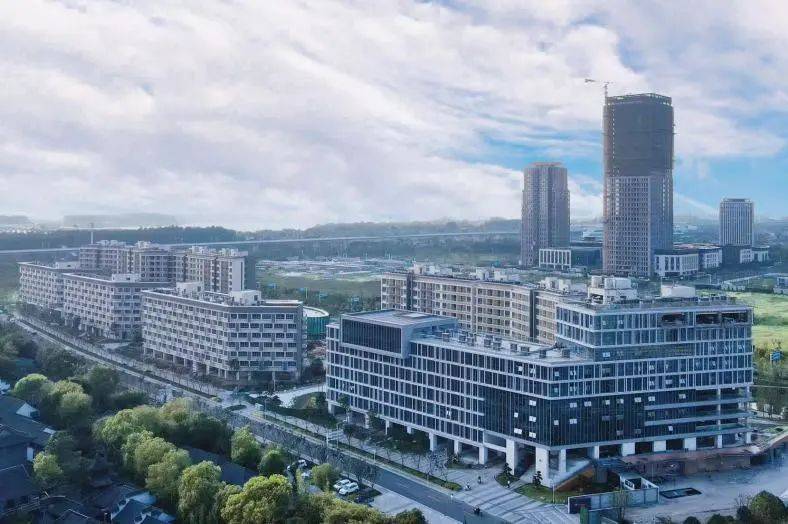 盈利能力no1旭辉瓴寓资管实力获认可