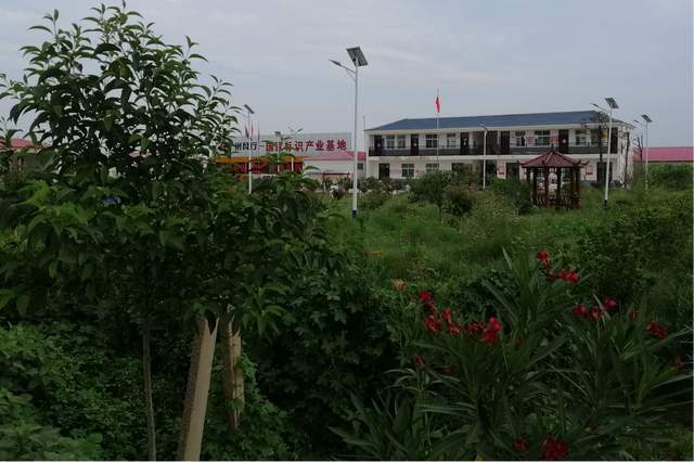 平舆县十字路乡:整治人居环境 点"靓"乡村颜值