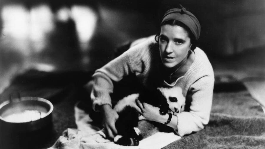 1936年，一美国女子携熊猫出中国，海关问：这是什么？她说：小狗