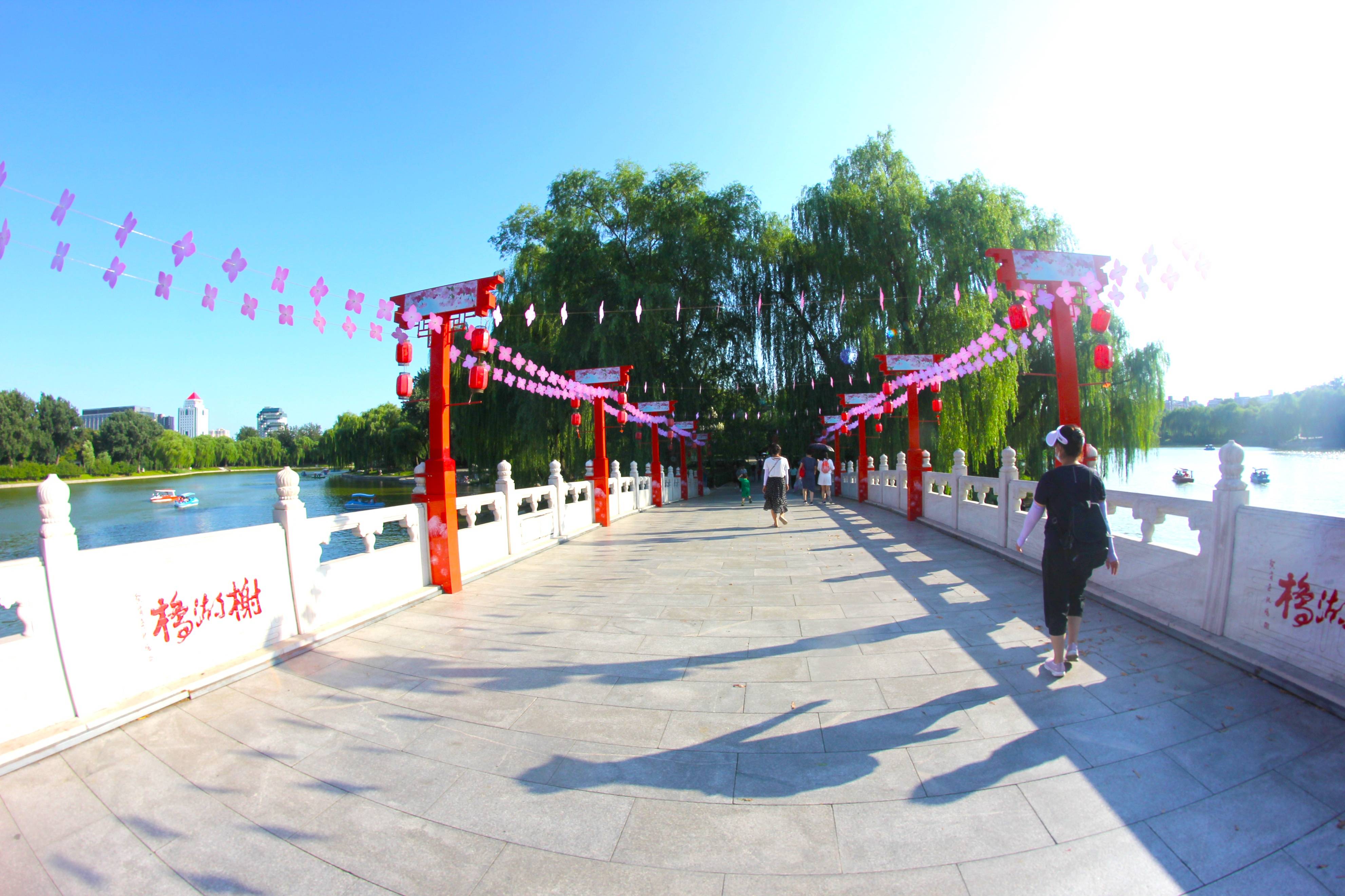 北京赏荷宝藏公园，仅需2元穿越江南梦境，画面美得不真实