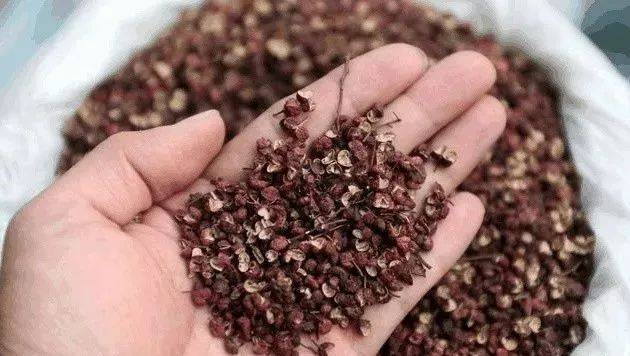 改掉他们,腰突找不上门来创意手工小强·今天 15:53良心干货!