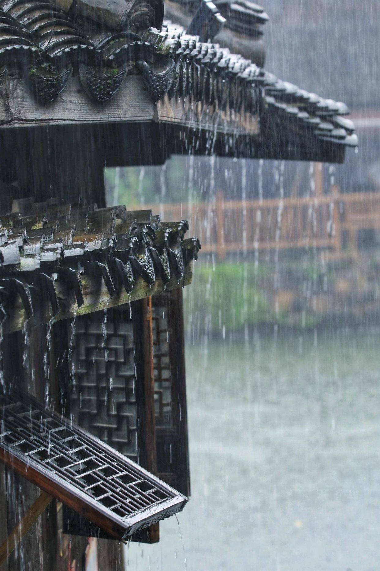 江南雨天图片大全图片