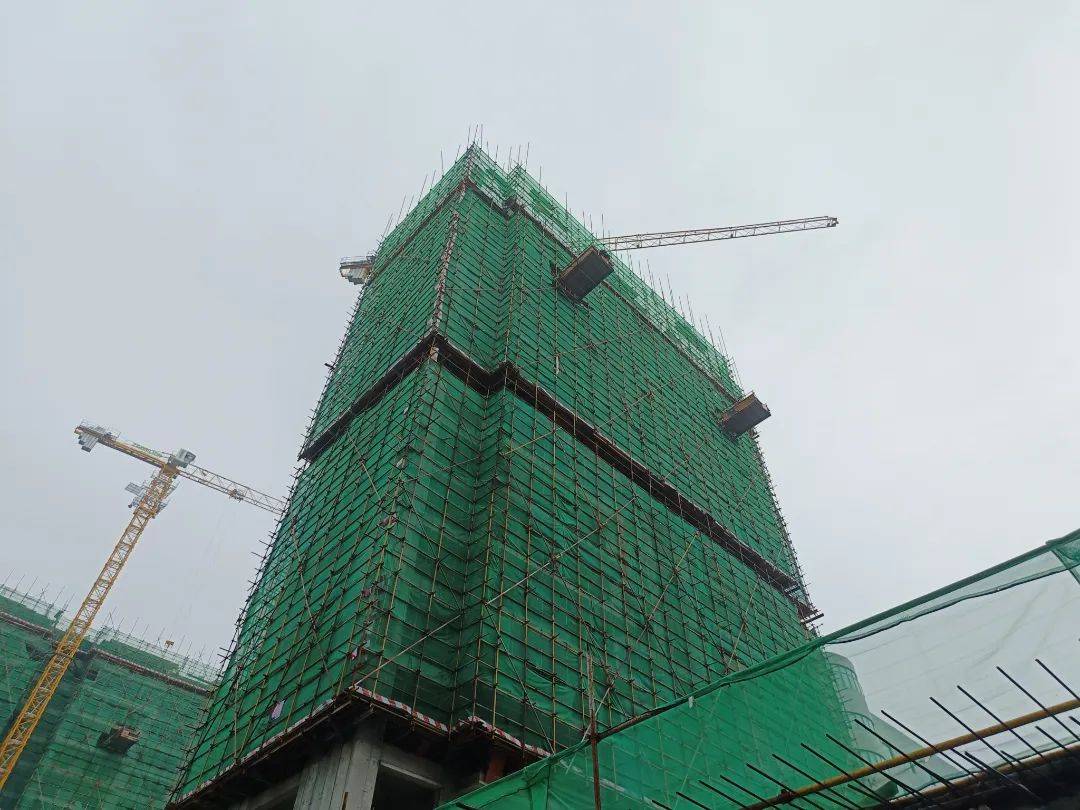 蝉鸣声声盛夏至,繁雨阵阵降热海,燥潮轮转花依在,中玮如约家速来.