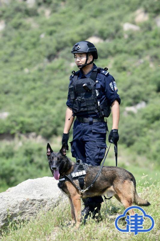 从军队到警队 他们"退伍不褪色"!_警犬_市公安局_成良辉