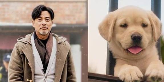 观影:温暖彼此生命的《小q》,我是你的"眼睛",你是我的全世界_狗狗