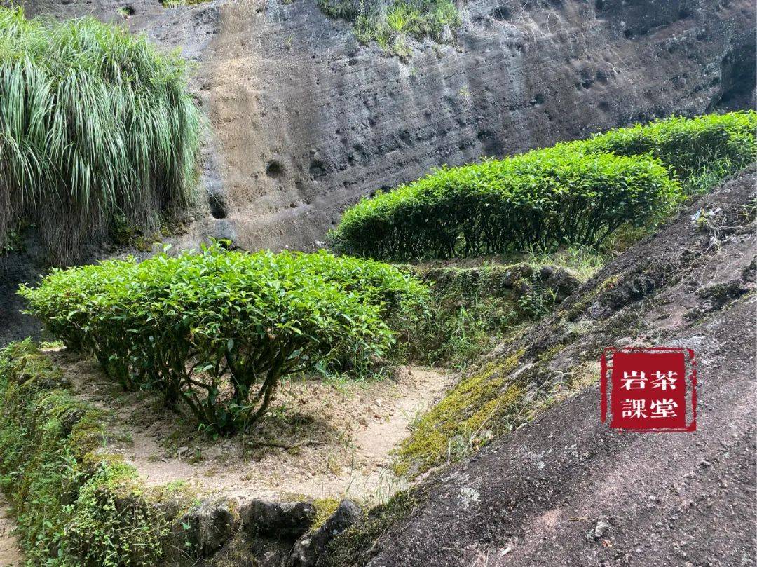 文章配图-7