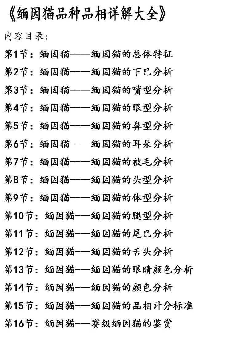 2020年缅因猫多少钱一只缅因猫价格一览表2021缅因猫多少钱一只2021