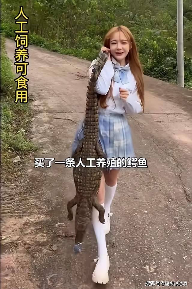 鲨鱼吃很美的女人图片