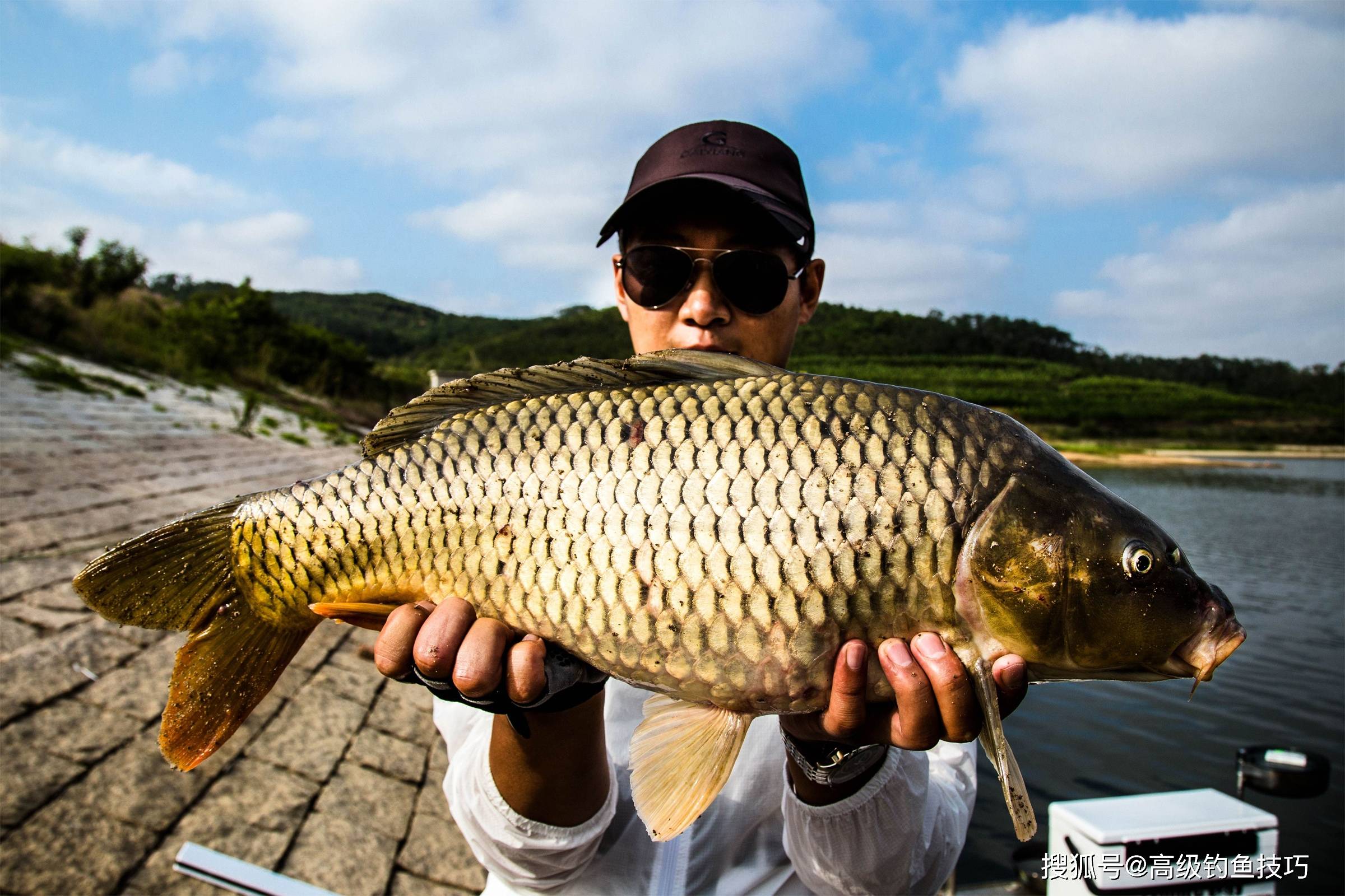 原创夏季钓大鲤鱼如何打窝诱鱼快夏季野钓大鱼的最佳打窝方法